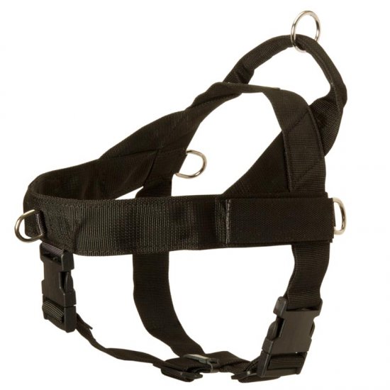 Nylon Doberman harness with ID-patches Get nylon Doberman harness