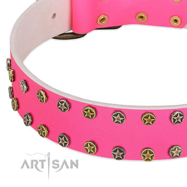 Gentle to touch full grain leather collar with adornments for your canine