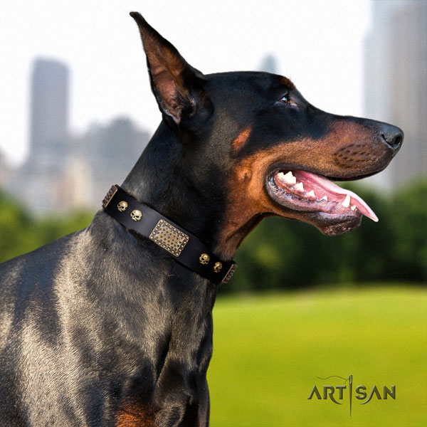 Doberman incredible leather collar with decorations for your dog