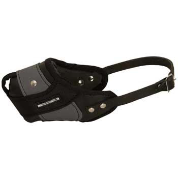 Doberman Muzzle Leather and Nylon for Walking and Training